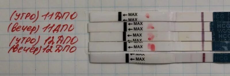 7 ДПО тест Эви. Тест на беременность на 7 день после овуляции. Тесты на 12 ДПО В беременном цикле. 10 ДПО тест.
