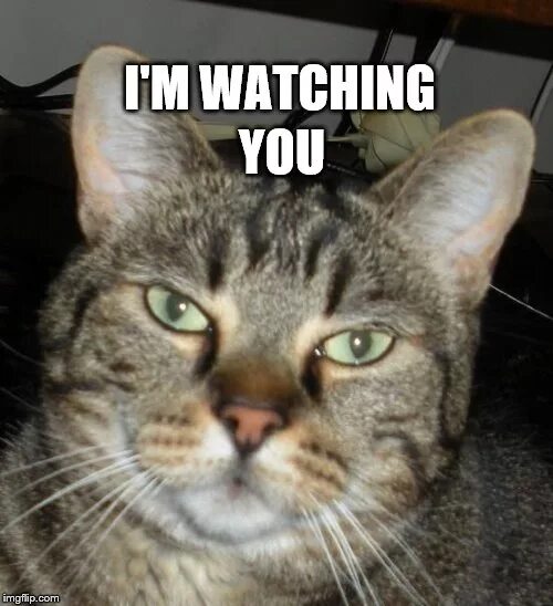 I m being watched