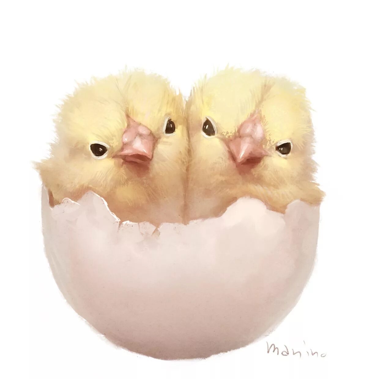 2 chicks. Милый цыпленок. Смешной цыпленок. Милые цыплята. Птенцы.
