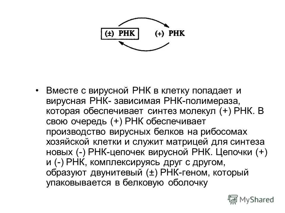 Рнк зависимая