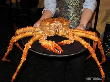 Сами крабов
