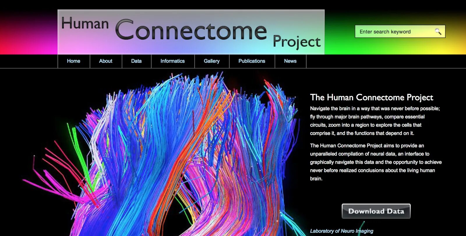 Human org. Human Connectome Project. Human Brain Project. Connectome коннектома. Проект «Human Brain Project» описание.