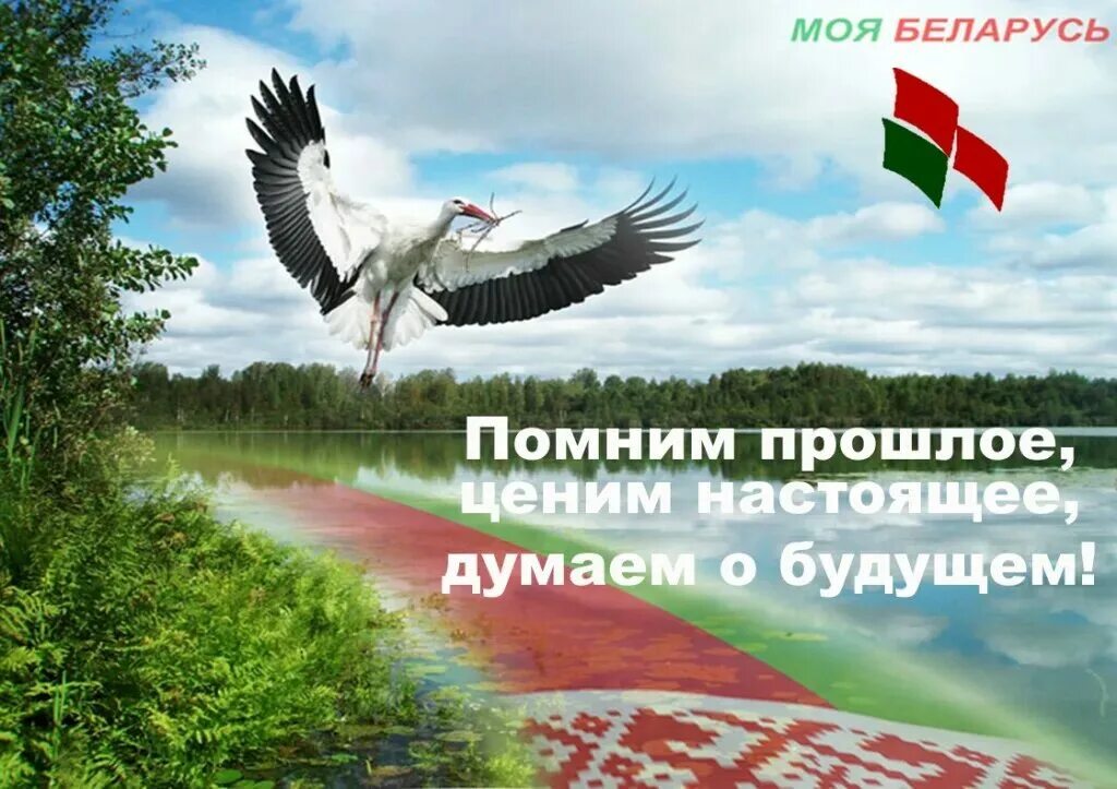 Сценарий про беларусь. Моя Родина Беларусь. Патриотизм Беларусь. Моя Беларусь. Патриотический плакат на тему Беларусь.