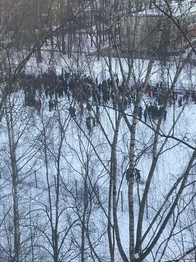 В Калининском районе заминировали школы. ЧП В 255 школе СПБ. ЧП СПБ сегодня школа. Калининский район эвакуировали школу 95.