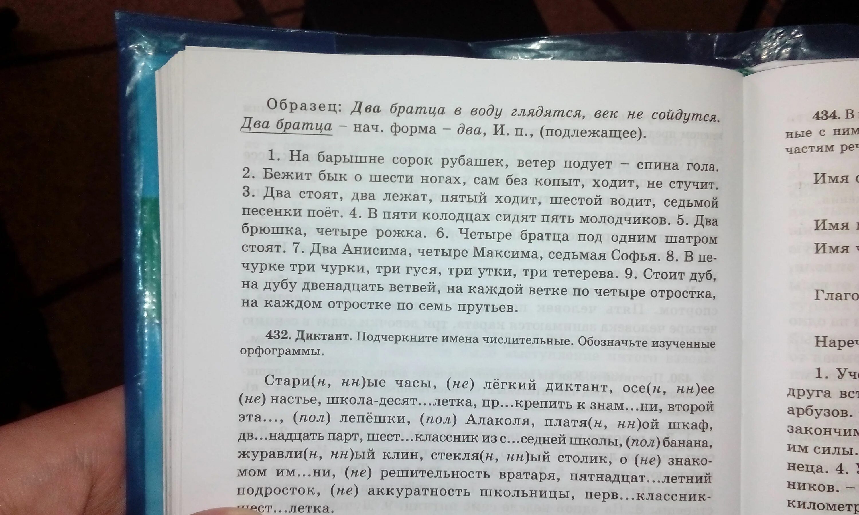 Загадка на барышне сорок рубашек ветер. На барышне сорок рубашек ветер подует спина. Отгадай загадки на барышне сорок рубашек ветер подует.