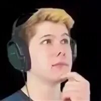 Винди стикеры телеграм. Бобр винди. Логотип винди 31. Бобр винди. Бобр винди.