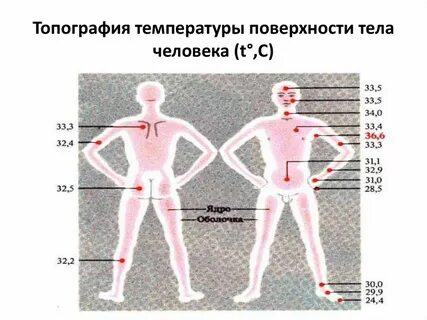 Горячие руки при температуре