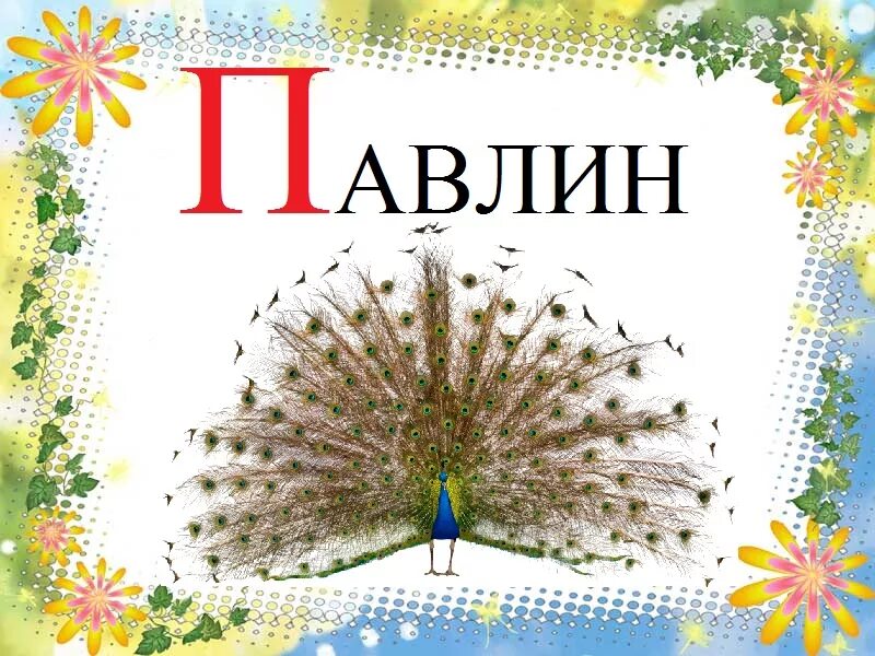 Синоним на букву п. Буква п картинка для детей. Слова на букву п картинки. Слова на букву п для детей. Слова на букву п для детей в картинках.