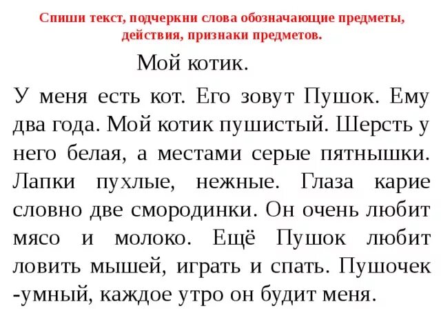 Предложение на 50 слов. Текст для первого класса. Упражнение для первого класса списывание. Списать короткий текст. Списывание 2 класс.