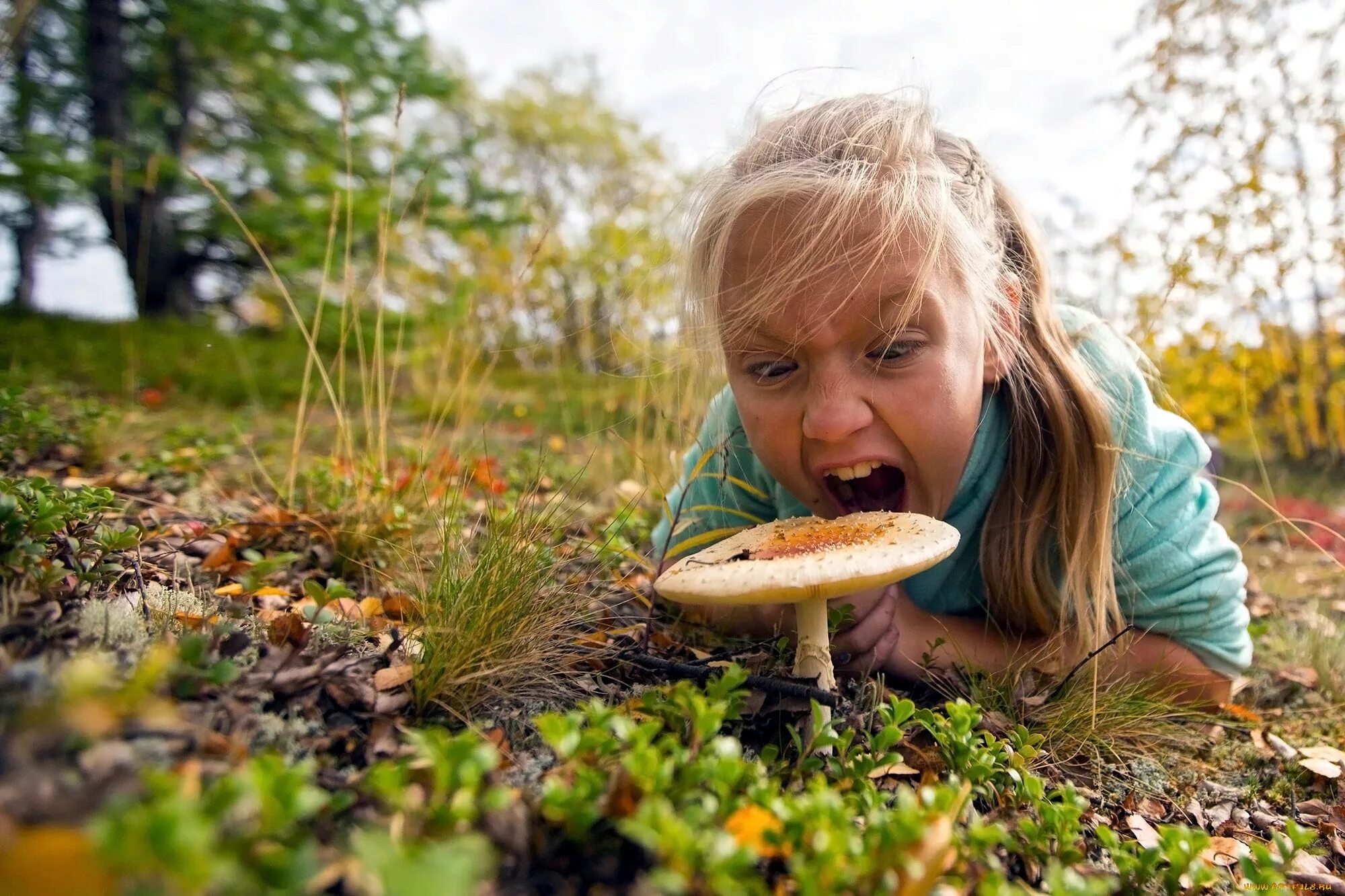 Девочка гриб. Фотосессия детская в лесу с грибами. Девушка с грибами фотосессия. Девочка грибочек.