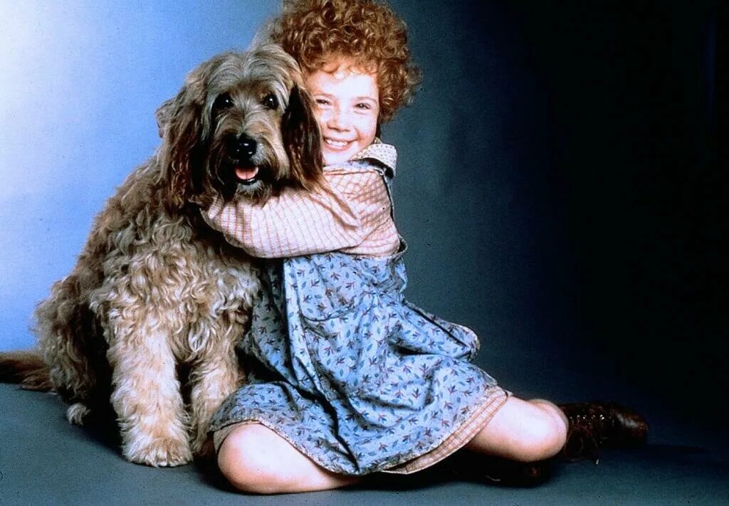 Annie 1982. Энни 1982 сиротки. Эни найт