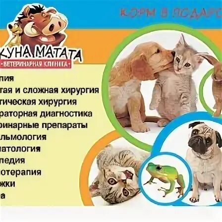 Круглосуточно животные