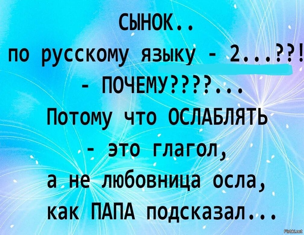 Анекдоты. Ослаблять анекдот. Шутка про ослаблять. Ослаблять это глагол а не. Отчего з