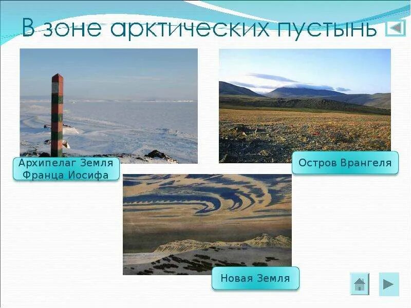 Зональный тип почв арктических пустынь. Рельеф и почва арктических пустынь. рельеф зоны арктических пустынь. почвы арктической зоны. особенности рельефа арктической пустыни.
