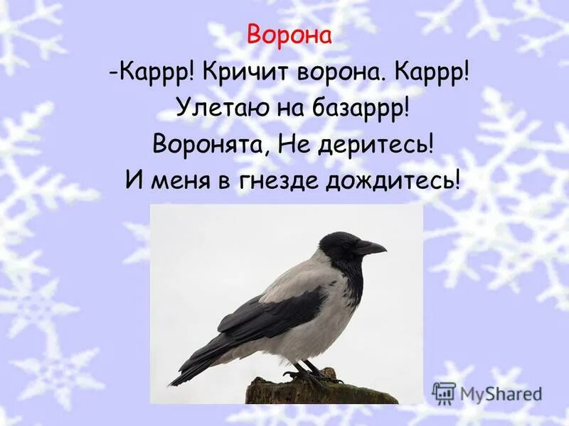 придумать стихотворение про ворону 3 класс литературное. стих про ворону для детей. стишки про ворону. загадка про ворона 3 класс. загадка о вороне 3 класс.