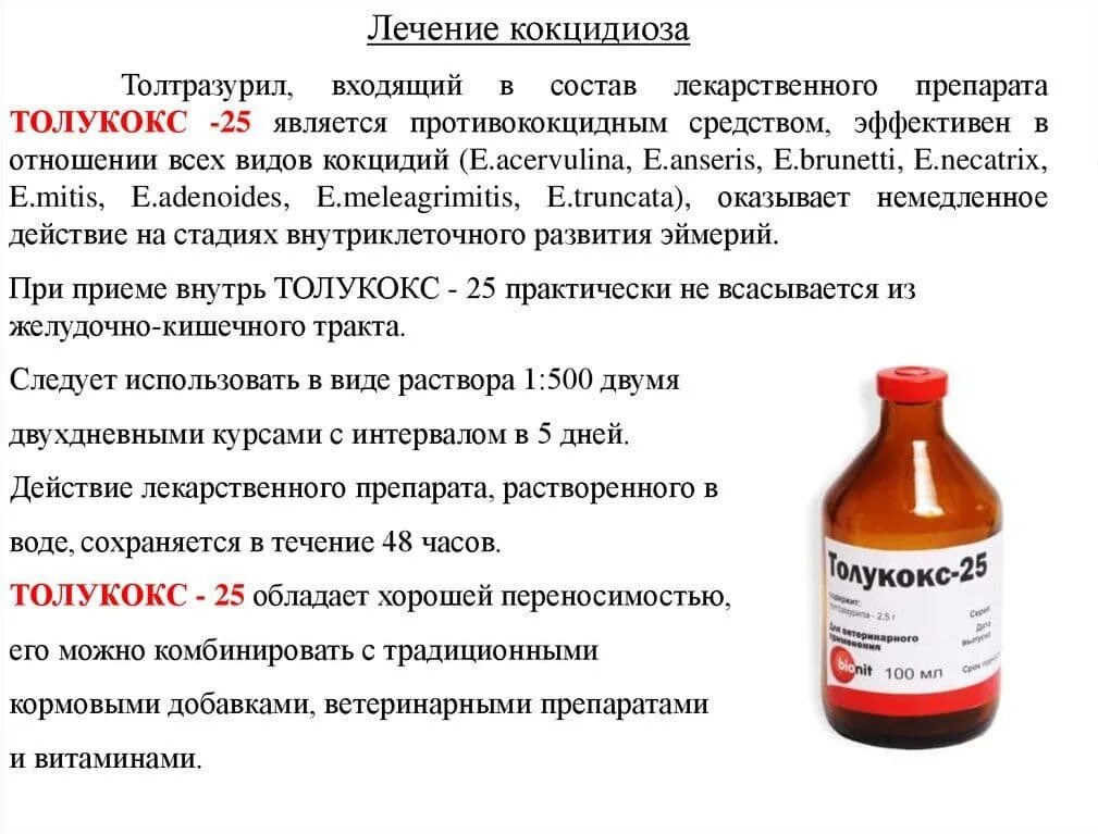 Микроплазмоз. Препараты от кокцидиоза для цыплят бройлеров. Лекарства от кокцидиоза у цыплят несушек. Лекарство от кокцидиоза для кроликов. Лекарство от кокцидиоза для кур несушек.