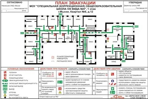 Руководитель организации обеспечивает наличие планов эвакуации