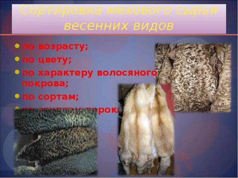 Однороден ли волосяной покров на теле млекопитающего. Весенние виды пушнины. Ассортимент пушно-меховых изделий. Пушно-меховое сырье. Пушно меховое сырье зимних видов.