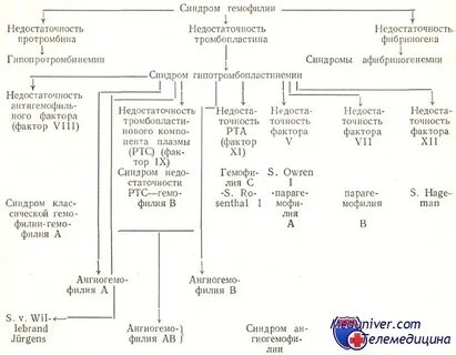 Тест гемофилия по утвержденным клиническим рекомендациям 2023