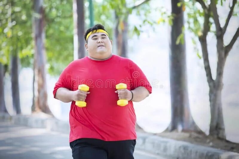 Толстяка лист