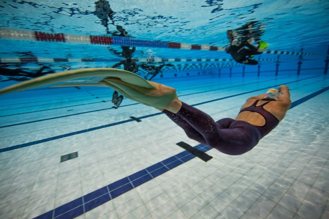 Подводное плавание моноласта. Подводное плавание в бассейне в моноласте. Моноласта пловец. Ласты для спортивного плавания.