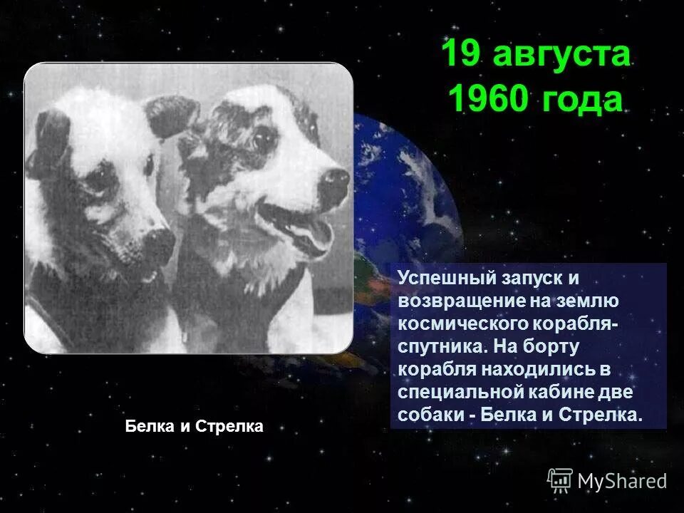 19 августа 1960. Белка и стрелка 19 августа 1960 года. Белка и стрелка Возвращение на землю. 19 Августа собаки белка и стрелка. Спутник 5 белка и стрелка.