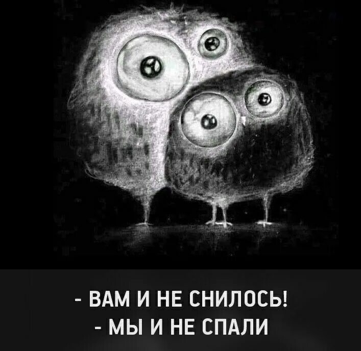 Вам и не снилось мы и не спали. Вам и не снилось мы и не спали Совы. Не спится. Что вам не спится. Улица длится длится не спится