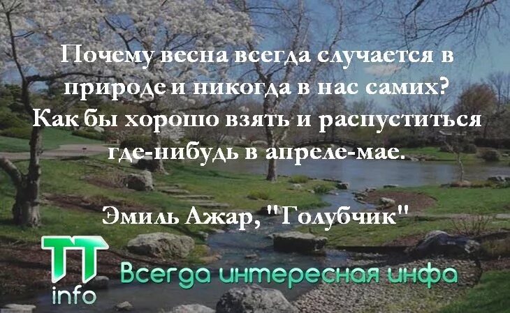 Цитаты про весну из книг. Интересные статусы про весну. Красивые мысли о весне. Красивые изречения о весне.