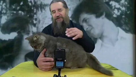 Сайт приют ангелов