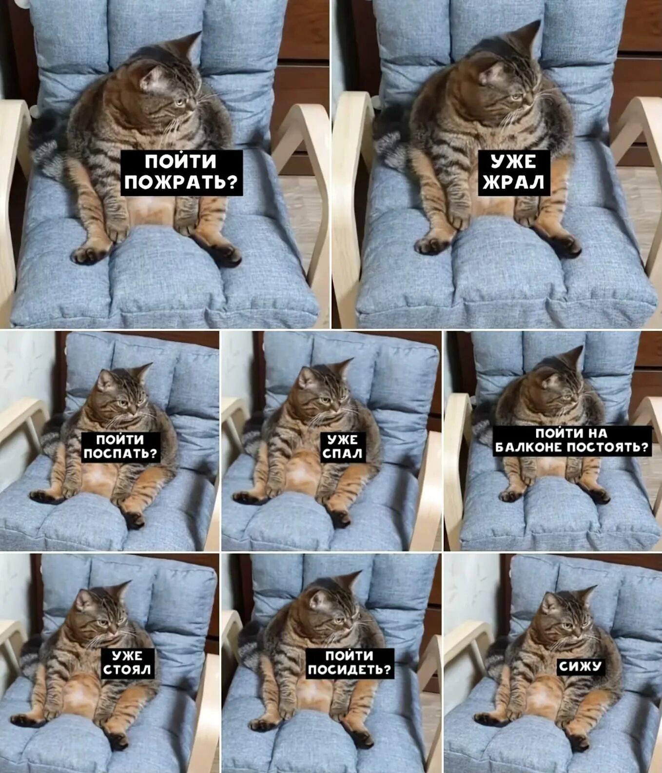 Пошла поесть