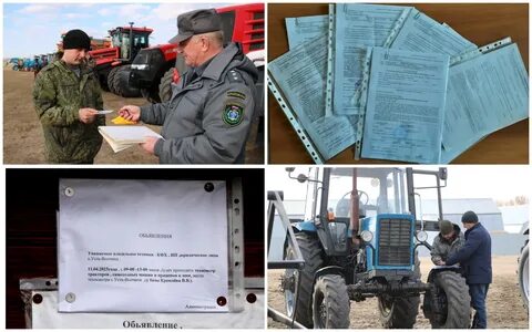 Погода в волчихе алтайского края на 14
