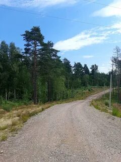 Форест эко