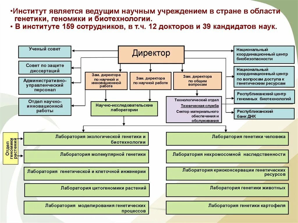 Специализированные научные учреждения. Структура научно-исследовательского института. Организационная структура научно исследовательского института. Структура генетической лаборатории. Института генетики Академии наук.