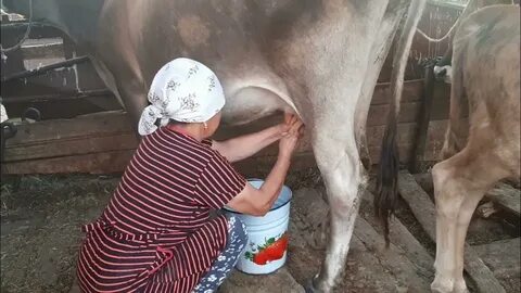 Photoshop-та теріні қалай күйдіруге болады