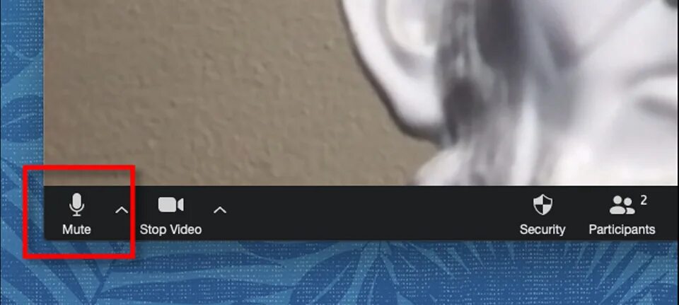 Убрать звук текущее время. Картинка звонка в зуме. zoom unmute. выключенный микрофон и камера в зуме. zoom видеоконференций выключен звук.