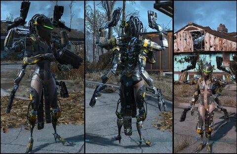 Fallout body