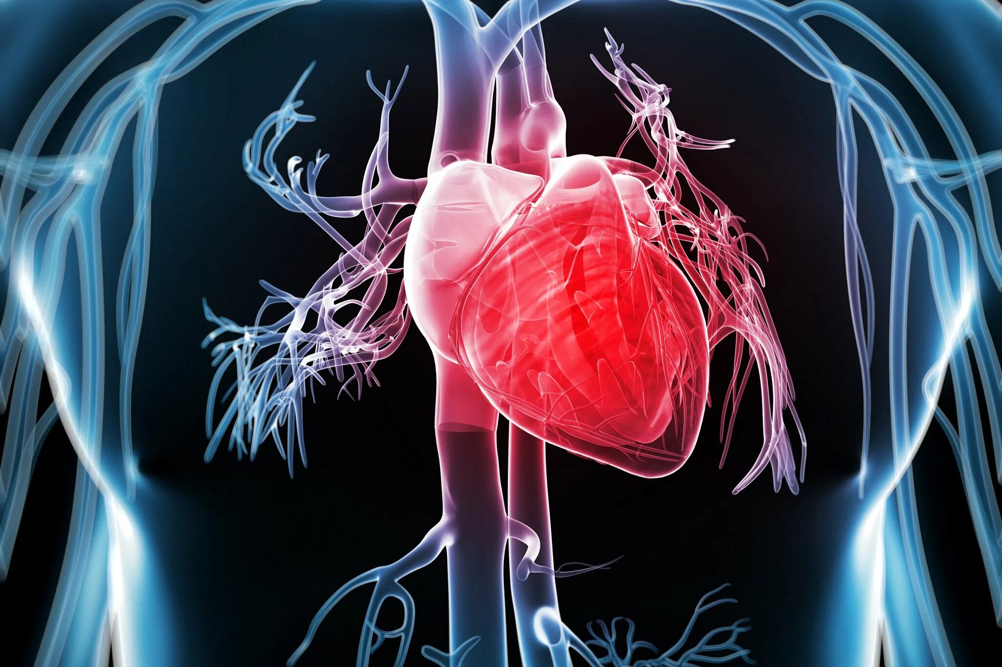 Сердце гонит. Сердечно-сосудистые заболевания. Болезни сердечно-сосудистой системы. Болезни системы кровообращения. Заболевания сердца и сосудов.