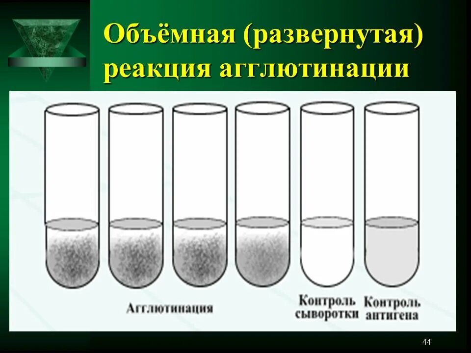 Постановка реакции агглютинации. Реакция агглютинации райта схема. реакция агглютинации микробиология. ориентировочная реакция агглютинации микробиология. пробирочная реакция агглютинации.
