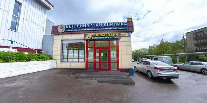 ветеринарная клиника 101 далматинец. 101 далматинец химки мельникова. далматинец химки. клиника 101 далматинец химки. улица далматинцев 101 долли.