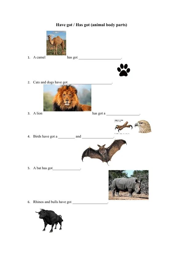 Birds has got. Animals body Parts Worksheets. Parts of the body animals Worksheets for Kids. Animals body Parts for Kindergarten Worksheets. Find 10 animals Parts of the body РЭШ.