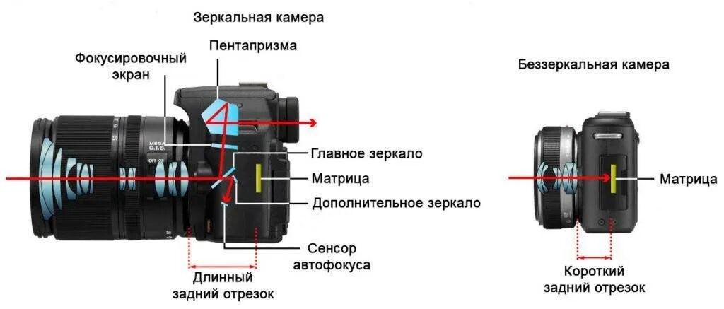 беззеркальные отличие от зеркальных. преимущества зеркального фотоаппарата. беззеркальный цифровой фотоаппарат. зеркалка и беззеркалка разница. беззеркальный цифровой фотоаппарат.