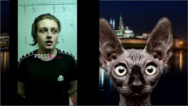 Кот костян. Кот костян дзене. Кот костян фото. Кот костян александр. Кот костян кот костян.