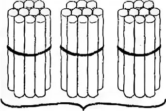 Пучки палочек десятки. Пучок десяток. Десяток палочек в пучке. Счетные палочки десяток.