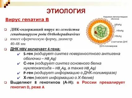 Днк содержащие вирусы вич