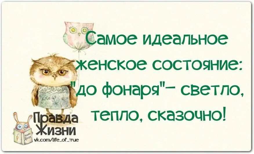 Правда жизни ответ. Правда жизни цитаты. правда жизни цитаты прикольные. позитивные фразочки в картинках. смешные цитаты с картинками правда жизни.