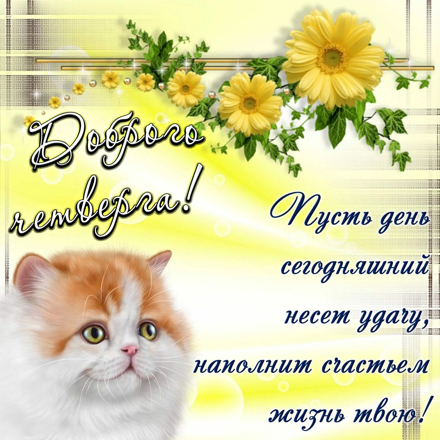 Добрые пожелания картинки новые. Поздравление с хорошим днем. Пожелания доброго дня прикольные. Открытки отличного четверга. Красивые картинки поздравления с добрым днем.