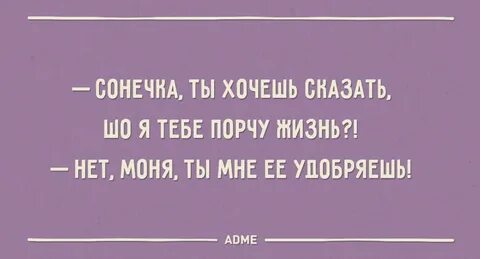 Все таки мне казалось что он не