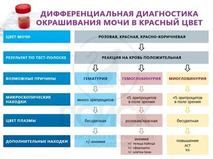 После свеклы окрашивается моча причина