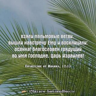 Ветви выйти