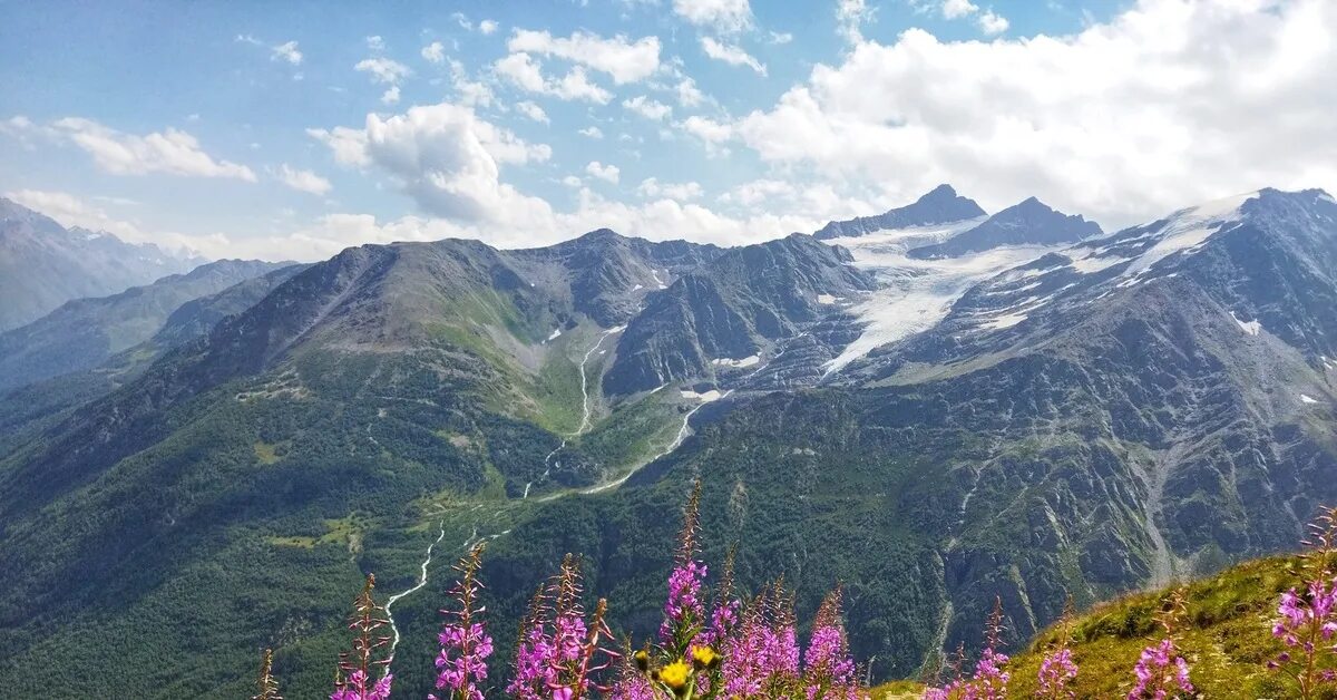 Добро пожаловать в приэльбрусье какая область. Рододендрон в приэльбрусье. национальный парк приэльбрусье. приэльбрусье 2025. эльбрус лето.